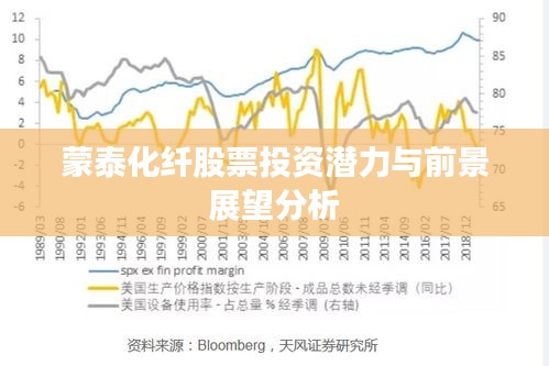 蒙泰化纖股票投資潛力與前景展望分析
