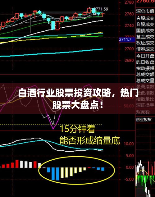 白酒行業(yè)股票投資攻略，熱門股票大盤點！