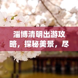 淄博清明出游攻略，探秘美景，盡享文化盛宴！
