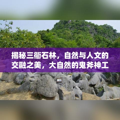 揭秘三衢石林，自然與人文的交融之美，大自然的鬼斧神工欣賞