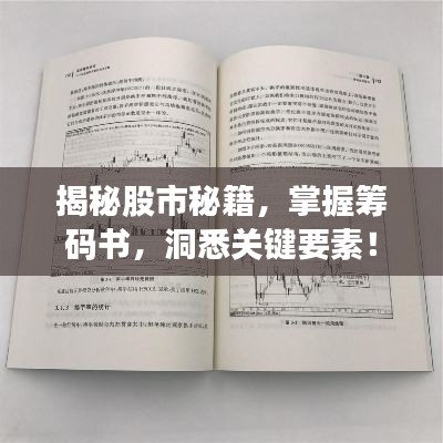 揭秘股市秘籍，掌握籌碼書(shū)，洞悉關(guān)鍵要素！