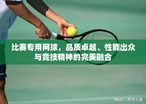 比賽專用網(wǎng)球，品質(zhì)卓越、性能出眾與競技精神的完美融合