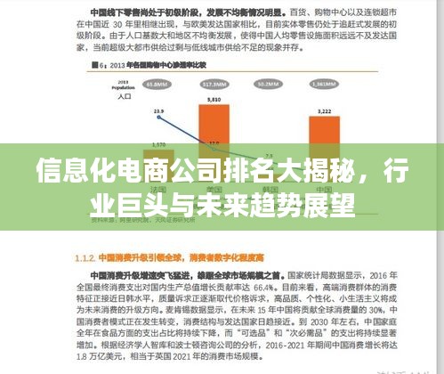 信息化電商公司排名大揭秘，行業(yè)巨頭與未來趨勢展望