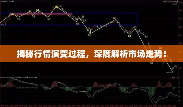 揭秘行情演變過程，深度解析市場走勢！