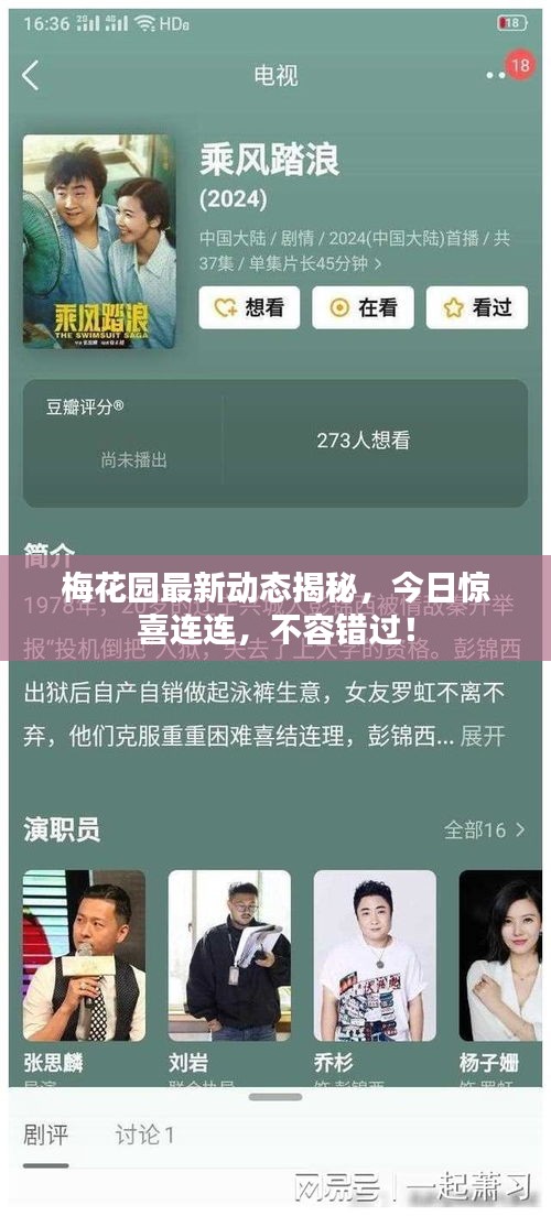 梅花園最新動態(tài)揭秘，今日驚喜連連，不容錯過！