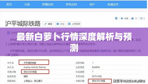 最新白蘿卜行情深度解析與預(yù)測(cè)