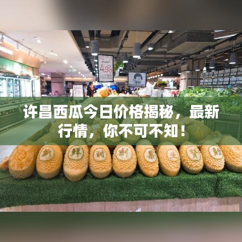 許昌西瓜今日價(jià)格揭秘，最新行情，你不可不知！