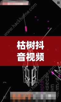 枯樹抖音視頻，探索最新版視頻世界，體驗獨特魅力