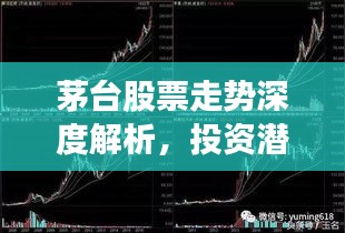 茅臺股票走勢深度解析，投資潛力與風(fēng)險(xiǎn)洞察