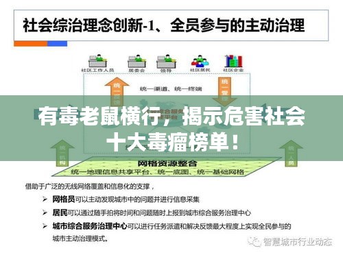有毒老鼠橫行，揭示危害社會(huì)十大毒瘤榜單！