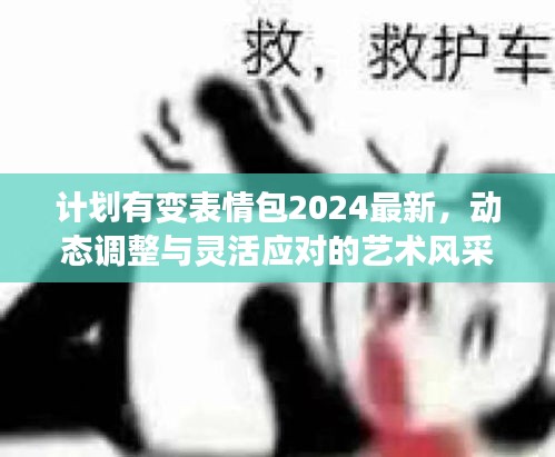計(jì)劃有變表情包2024最新，動態(tài)調(diào)整與靈活應(yīng)對的藝術(shù)風(fēng)采