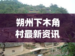 朔州下木角村最新資訊聚焦