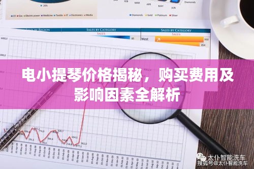 電小提琴價(jià)格揭秘，購(gòu)買費(fèi)用及影響因素全解析