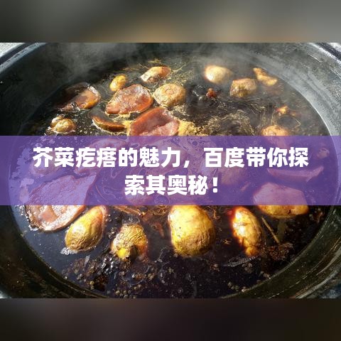 芥菜疙瘩的魅力，百度帶你探索其奧秘！