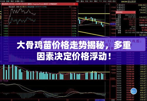 大骨雞苗價格走勢揭秘，多重因素決定價格浮動！