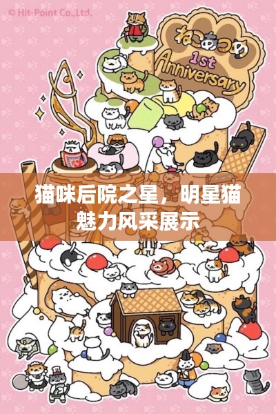 貓咪后院之星，明星貓魅力風采展示