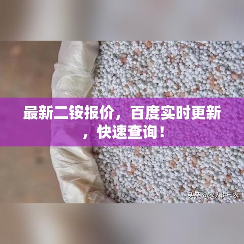 最新二銨報(bào)價(jià)，百度實(shí)時(shí)更新，快速查詢！