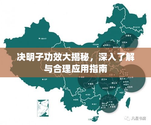 決明子功效大揭秘，深入了解與合理應(yīng)用指南