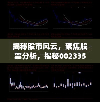 揭秘股市風(fēng)云，聚焦股票分析，揭秘002335股票動態(tài)與前景展望