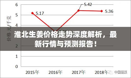 淮北生姜價(jià)格走勢(shì)深度解析，最新行情與預(yù)測(cè)報(bào)告！