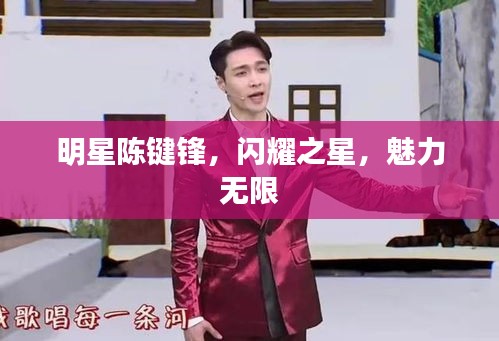 明星陳鍵鋒，閃耀之星，魅力無(wú)限
