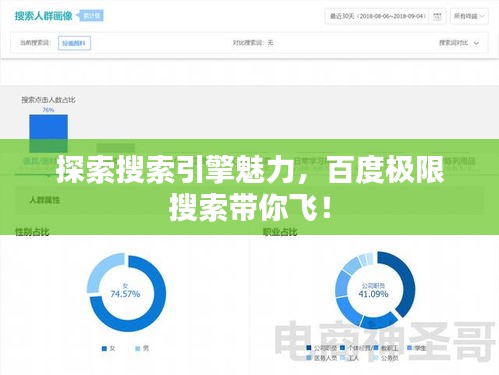 探索搜索引擎魅力，百度極限搜索帶你飛！