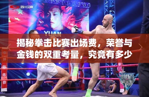 揭秘拳擊比賽出場(chǎng)費(fèi)，榮譽(yù)與金錢(qián)的雙重考量，究竟有多少？
